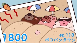 ポコパンタウン 1800 空花