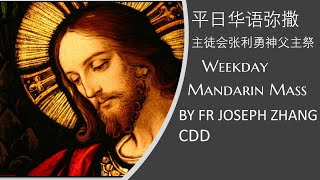 2022.10.17主徒会.张利勇神父主祭 Mandarin Mass celebrated by Fr Joseph Zhang, CDD