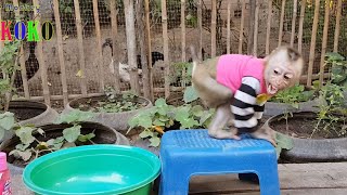 Sweetie Baby Koko Look So Happy In Bathing | How Cute Koko Acting To Mom?