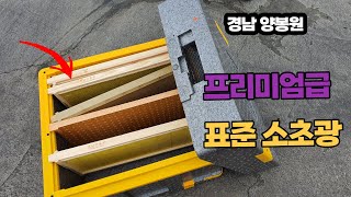 대한민국 최고 품질  소초광 구경하세요.. 경남 양봉원 표준소초광