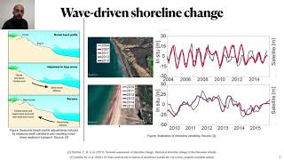 Genetic Improvement of Shoreline Evolution Forecasting Models