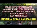 Tips merawat anggrek dari seedling anti gagal hingga berbunga lebat