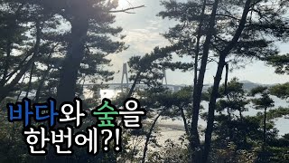 [솔캠] 바다와 숲을 함께 느낄수있는 캠핑장/짜파게티/추억의 옛날삼겹살/김치찌개/선재도트리캠핑장