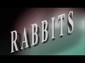 RABBITS 1