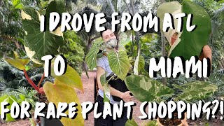 RARE Plant Shopping in Miami FL!