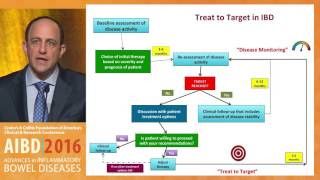 Implementing treatment pathways for the management of ulcerative colitis and Crohn's disease