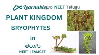 PLANT KINGDOM - BRYOPHYTES EXPLAINED in Telugu|Learnablepro NEET Telugu| #neet2025 #eapcet