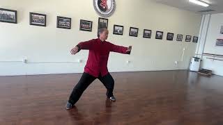 A Lifetime of Chen TaiChi LaoJia Yilu Whole Routine