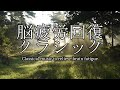 脳疲労回復クラシック～Classical music to relieve brain fatigue