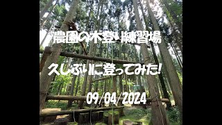 久しぶりの木登り練習:大源太農園20240904