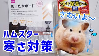 【ダイソー購入品】寒さに弱いハムスターのために！暖かい部屋作り【前編】