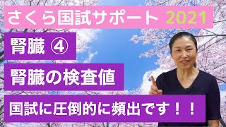 【看護国試に圧倒的頻出】腎臓④「腎の検査値」【さくら国試サポート 解剖生理講義】