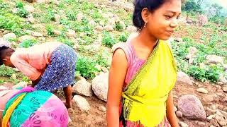 my first blogs videos, Adivasi nature,  ମୋର ପ୍ରଥମ ବ୍ଲଗ୍ ଭିଡ଼ିଓ ଆଦିବାସୀ ଲୋକଙ୍କର ଜୀବନଯାପନ,