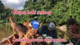 Berburu babi hutan di kebun sawit lansung di masak dan makan 😱😱😭