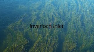 Coastal Connections 2: Inverloch Inlet