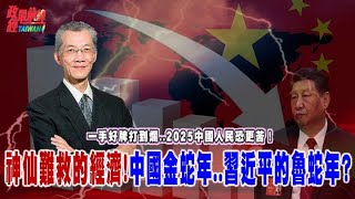 中國經濟 神仙也難救..金蛇年會是習近平的魯蛇年…?一手好牌打到爛..2025中國人民恐會更苦...@democratictaiwanchannel