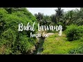 Holiday at Bukit Lawang Jungle Inn || Al-Insani Family || Heru Sanjaya || Cinematic Video