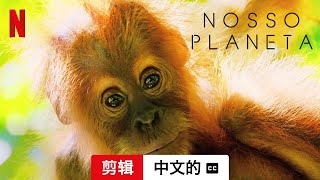 我们的星球 (第一部剪辑配有字幕) | 中文的預告片 | Netflix