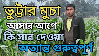 ভুট্টার মুচা আসার আগে কি কি সার দেওয়া অত্যান্ত গুরুত্বপূর্ন