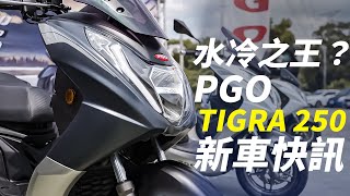 PGO水冷之王？不用14萬 ！PGO TIGRA 250 胖虎進化變成大胖虎拉 - 【新車快訊】