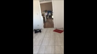 Skating Bulldog Crashes Against Chair