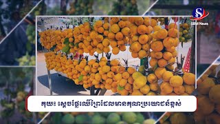 គុយ៖ ស្ដេចផ្លែឈើព្រៃដែលមានគុណប្រយោជន៍ខ្ពស់ | SBM NEWS