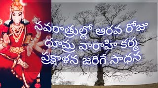 ఈరోజు ధూమ్ర వారాహి ఈ నామస్మరణ లుమీరు వింటే మీలోని మీ గృహంలోని నెగటివ్ ఎనర్జీ పారిపోతుంది