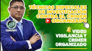 TEMA VIDEO N.°02: Video Vigilancia y Crimen Organizado