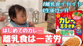 離乳食を嫌がる1才。カレーなら最後まで食べるのか？