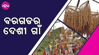 Bargarh: ବରଗଡର ଇ ଗାଁକେ କାଁକରି କୁହାଯାଉଛେ ଦେଶୀ ଗାଁ, କାଣା କରସନ୍ ଇନର ଲୋକ୍‌