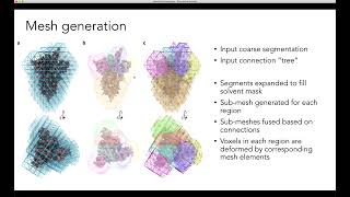 CryoSPARC 3D Flexible Refinement Mesh Preparation Tutorial