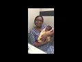 urvaraa ivf testimonials 3