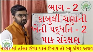 કાબુલી ચણા ખેતી પદ્ધતિ ભાગ-2 (પાક સંરક્ષણ) // વિજાપુર એફપીઓ // વેસ્ટર્ન ગ્રૂપ // સમર્થ એગ્રો //