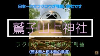 ふくろう🦉のいる神社　鷲子山上神社（珍しい県境にある神社）