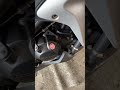 cbr250r 3 mc41 （1台分解し　全パーツ100円～売切り ヤフオク出品用）