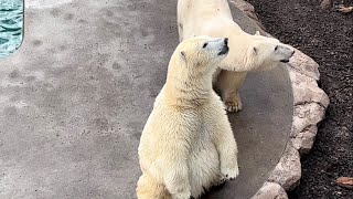 飼育員さん、お魚くれるんじゃないの⁉️