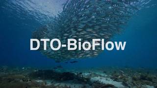 Unlocking Europe’s “Dormant” Ocean Data to Protect Marine Biodiversity