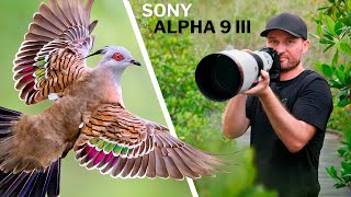 Birds In FLIGHT With 120 FPS! SURPRISING Results! | Sony A9 III In Action!