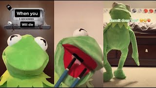 Funny Kermit on TikTok Videos Compilation, Best kermitontiktok 2023