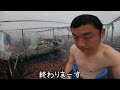 【極楽】錦鯉風呂！　　＃nishikigoi　bath