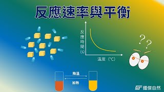 反應速率與平衡