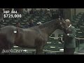 2017 Keeneland September Sale - Hip 844, Orb - Tally Ho Dixie colt brings $1,000,000