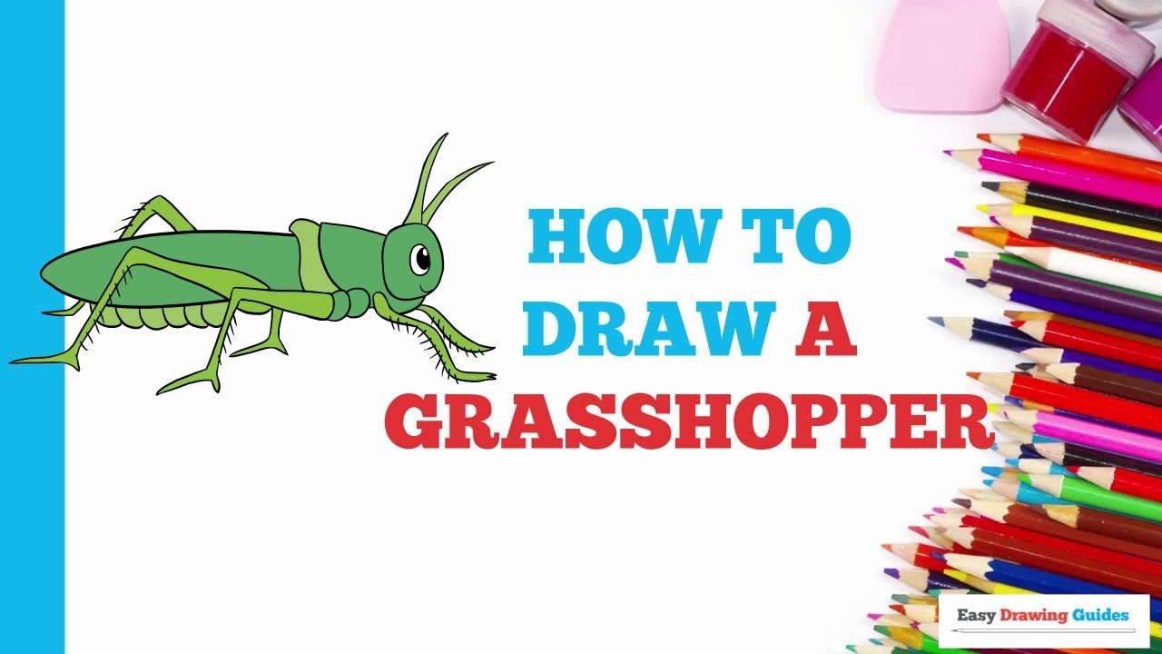 How To Draw A Grasshopper In A Few Easy Steps Drawing Tutorial For