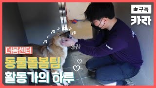 Vlog | 카라 더봄센터 활동가의 하루 / 유기견입양 / 동물보호 / 시민단체 / 직장인브이로그 / 유기동물 / 동물