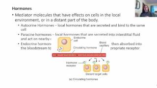 Ch 18 Lecture Part 1