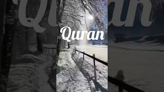 Surah lukman Ayat 4 - 5 Al Quran urdu translate #ruhaniandsuffiguidelines #gulshanmohammed #ruhani