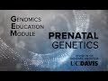 Genomic Education Module (GEM): Prenatal Genetics