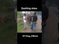 ST King Official Shooting video || Action making video || film making short video #flimmaker