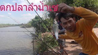 ตกปลาลำเซบาย🐠หมายดังต้นสะแบง😀วิ่งกระจาย🦞🐡🐟