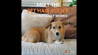 Reusable Pet Hair Roller - For Dogs, Cats And Other Pets - For Your Couch, Bed, Clothing And More